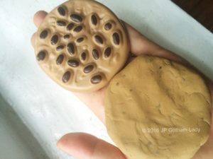 playdough.cookie.Watermarked Photo