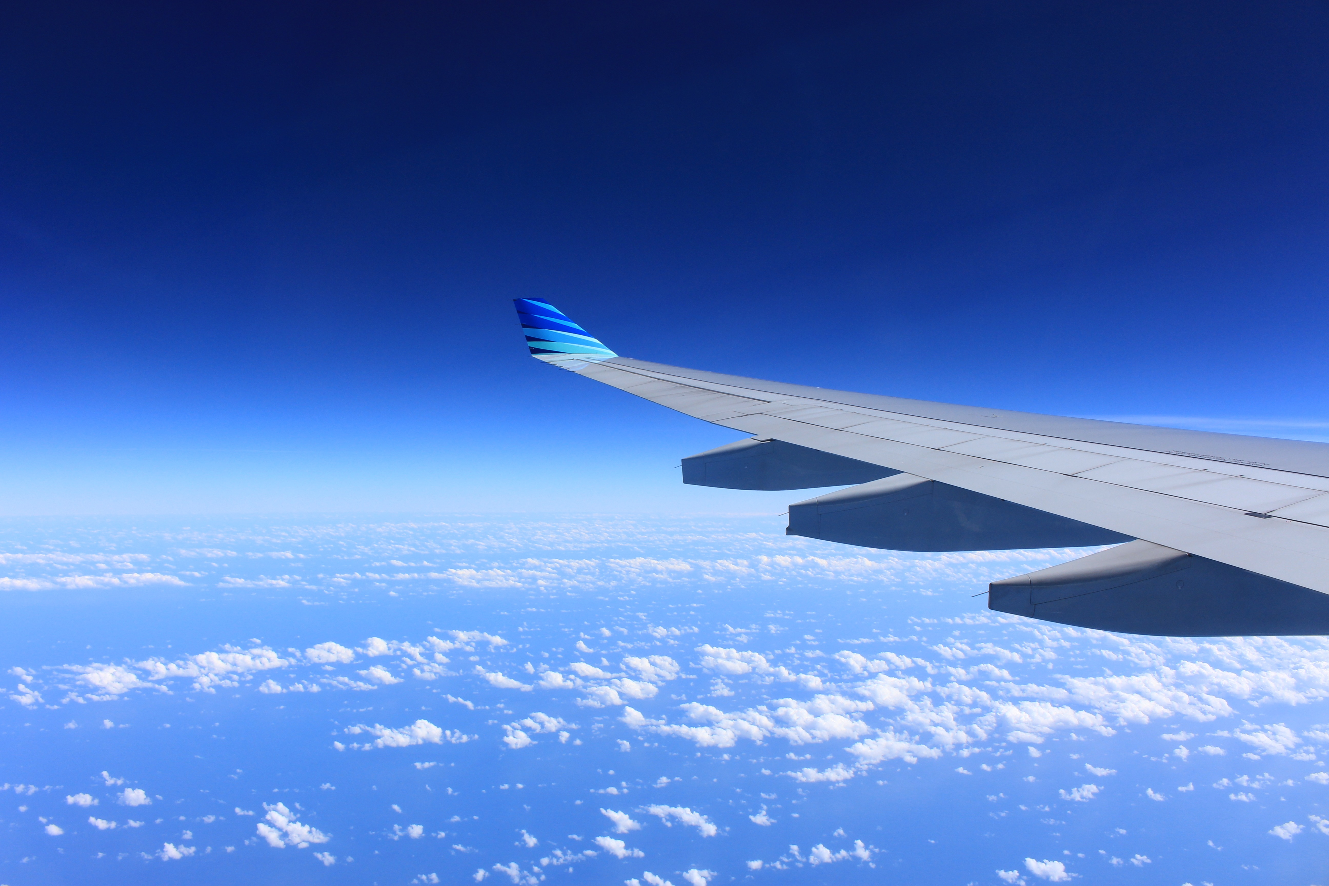 子連れで飛行機に乗るコツ 私が国際線長時間フライトで学んだこと Jp Gotham Lady